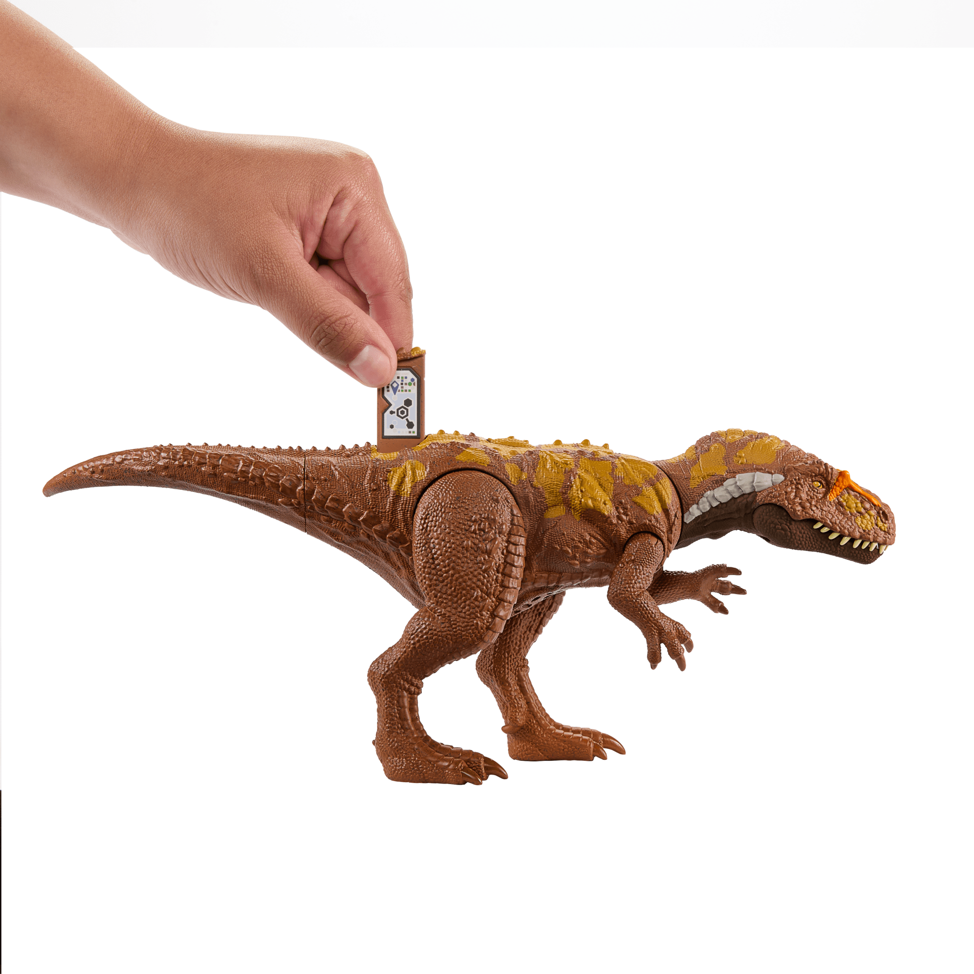 Jurassic World Wild Roar Dinosaur. MEGAlosaurus Action Figure Toy With Sound - Image 4